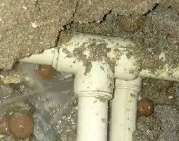 花垣测漏水多少钱