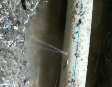 花垣测漏水哪家好