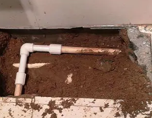 花垣测漏水哪家好